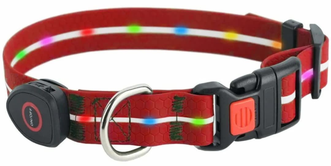 Ile kosztuje obroża dla psa? Ceny, porównania i najlepsze oferty