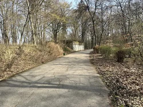 Gdzie na spacer z psem koło Krakowa? Odkryj najlepsze miejsca