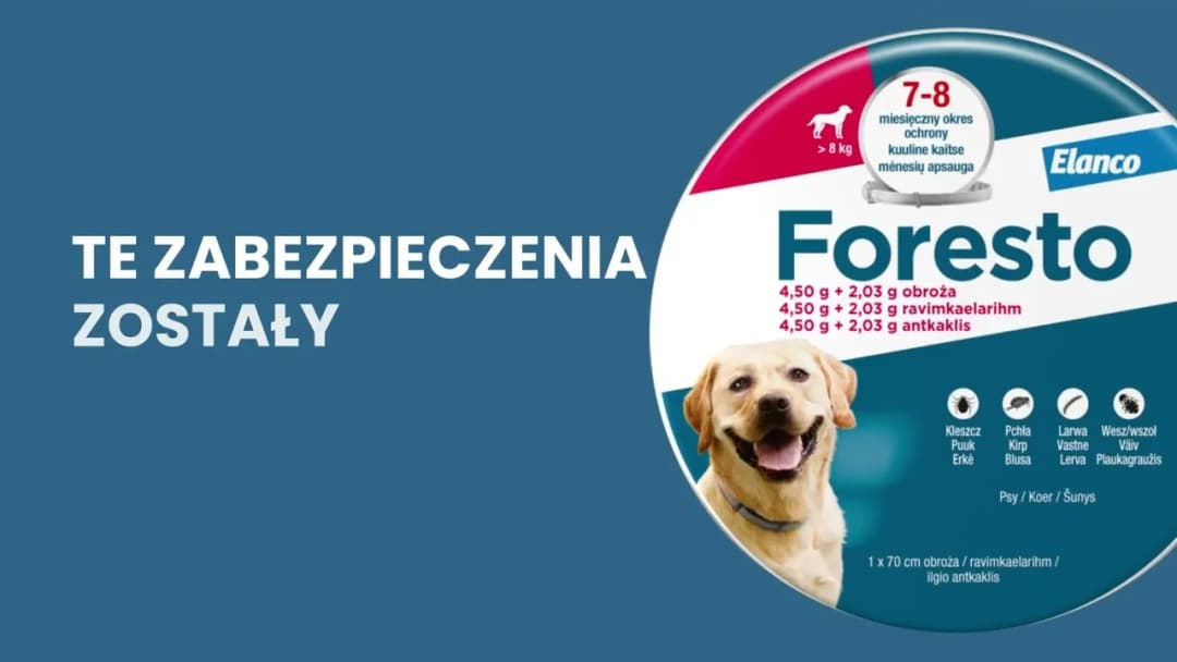 Czym różni się obroża Foresto od Seresto? Kluczowe różnice i skuteczność