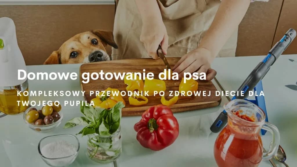 Jak gotować dla psa: zdrowe przepisy, które zachwycą Twojego pupila
