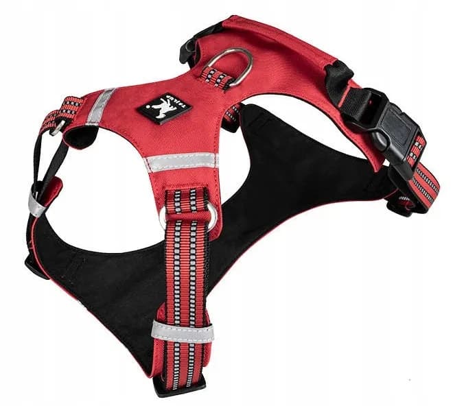 Jakie szelki dla husky zapewnią komfort i bezpieczeństwo Twojemu psu