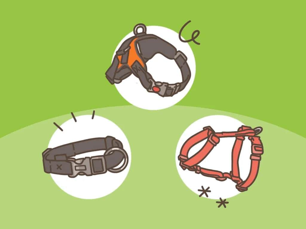 Obroża czy szelki dla dużego psa – co wybrać dla bezpieczeństwa? Obroża czy szelki dla dużego psa – co wybrać dla bezpieczeństwa?