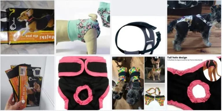 Jak uszyć wygodne majtki dla psa – prosty poradnik krok po kroku