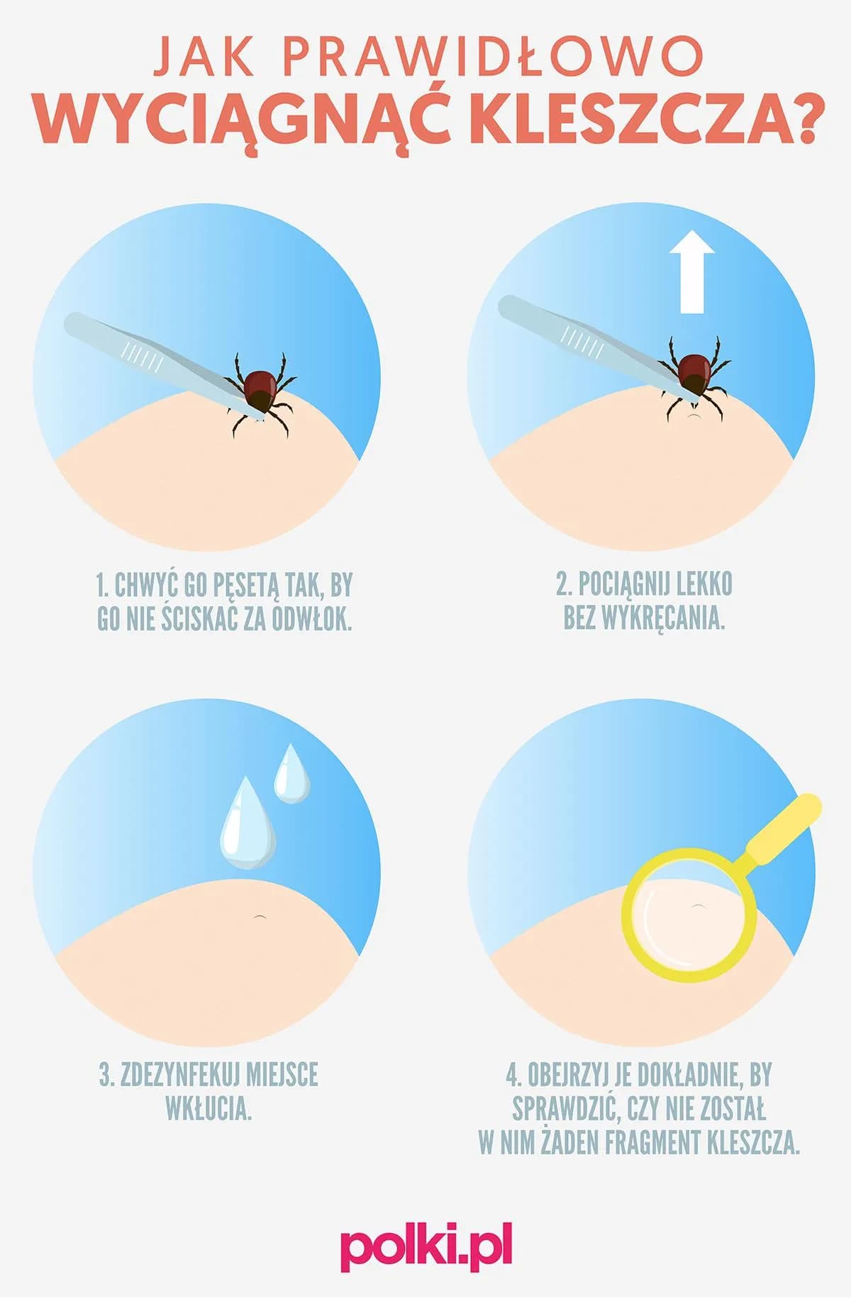 Co zrobić gdy masz kleszcza – bezpieczne usuwanie i dalsze kroki