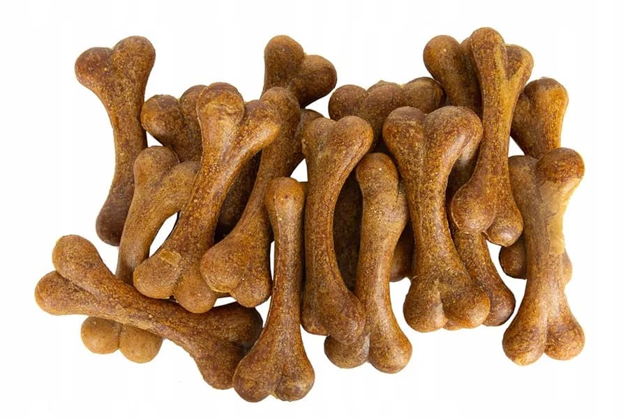 Gdzie kupić kości wołowe dla psa – bezpieczne i sprawdzone miejsca