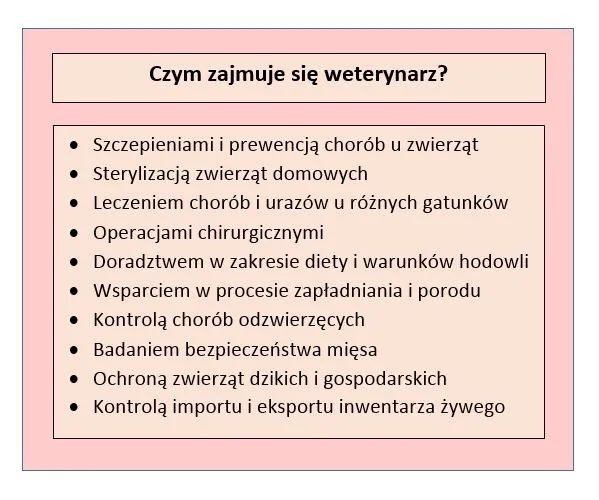 Co robi weterynarz? Poznaj kluczowe zadania i usługi dla zwierząt