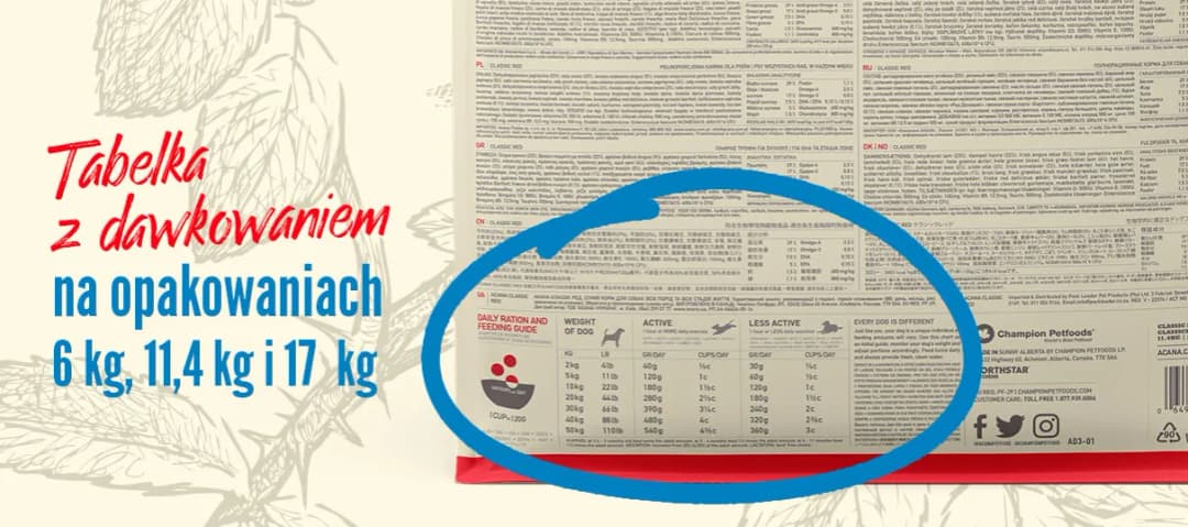 Ile karmy dla psa tabela - uniknij błędów w dawkowaniu jedzenia